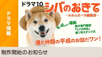 Shiba no Okite ~Warera Inu-Ika Editorial Department~