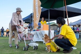 Shiba no Okite ~Warera Inu-Ika Editorial Department~