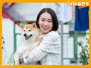 Shiba no Okite ~Warera Inu-Ika Editorial Department~