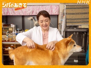 Shiba no Okite ~Warera Inu-Ika Editorial Department~