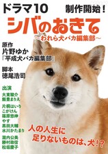 Shiba no Okite ~Warera Inu-Ika Editorial Department~