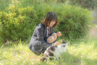 Strobe Edge Season 1