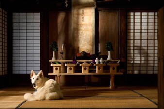 Tengu No Daidokoro Season 2