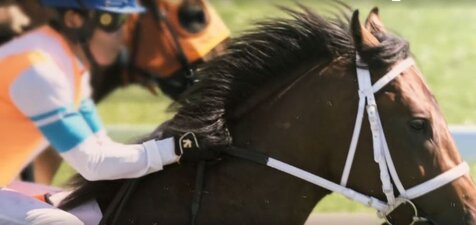 Le redini del destino