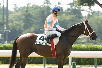 Le redini del destino