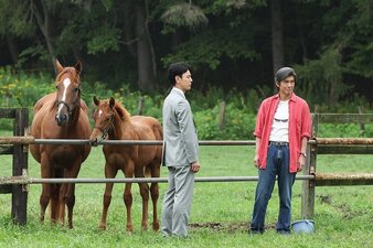 Le redini del destino