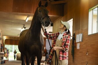 Le redini del destino