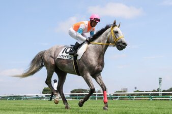 Le redini del destino