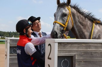 Le redini del destino