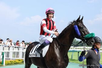 Le redini del destino