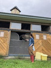 Le redini del destino