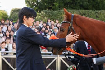 Le redini del destino