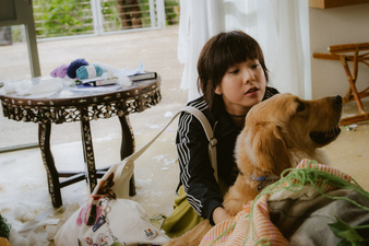 The Snowball on a Sunny Day