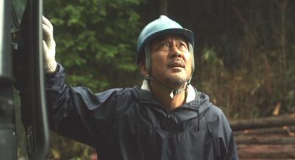 The Woodsman and the Rain