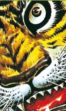 Tiger Mask - Uomo Tigre