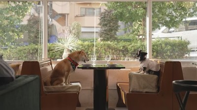 Tokyo Inu Love Story