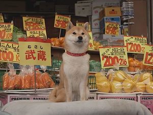 Tokyo Inu Love Story