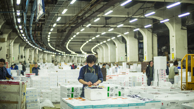 Tsukiji Wonderland