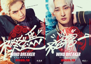 Wind Breaker