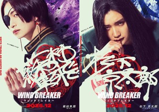 Wind Breaker