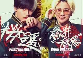 Wind Breaker