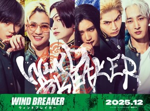 Wind Breaker