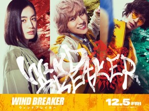 Wind Breaker