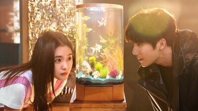 Be Passionately in Love