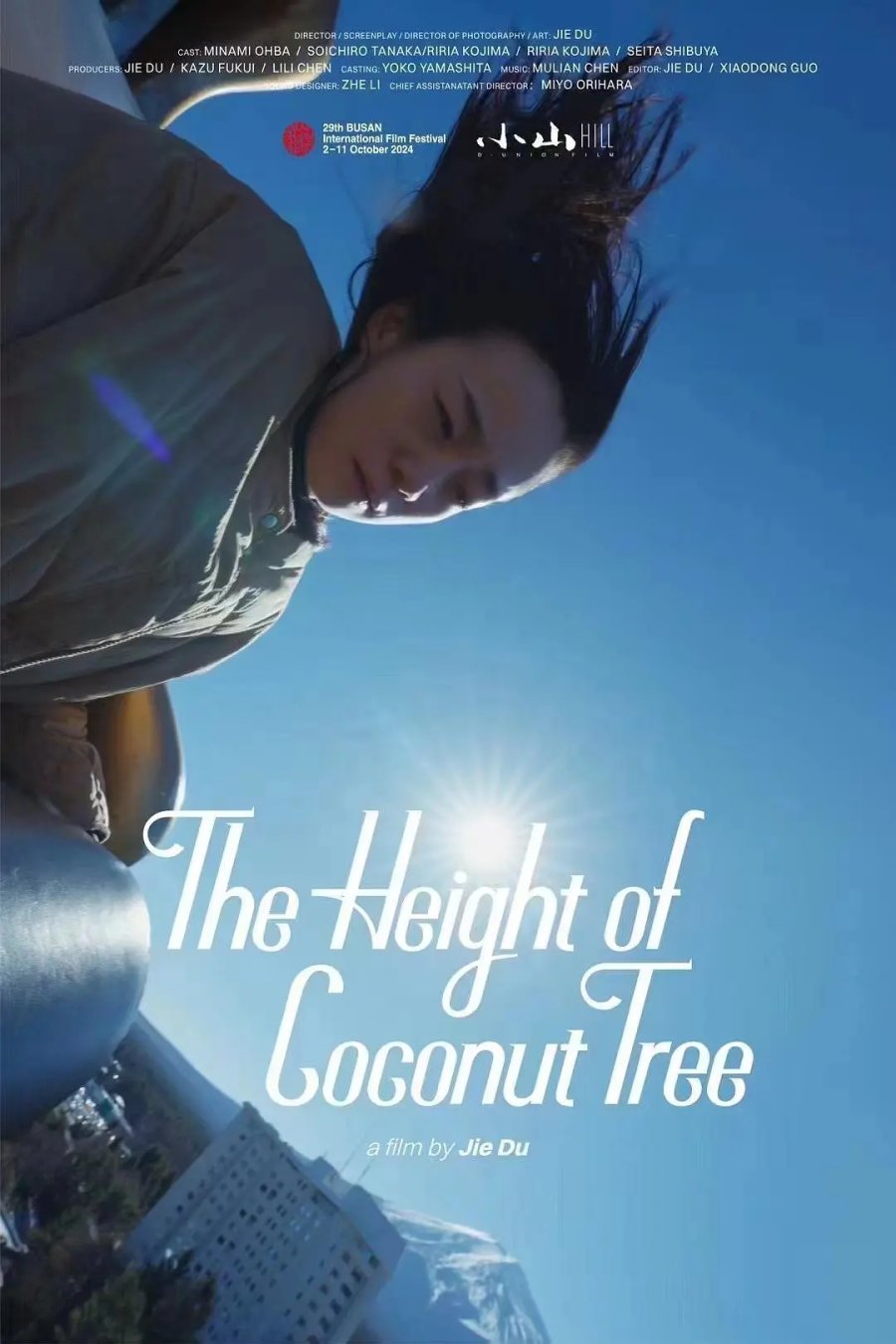The Height of the Coconut Trees
