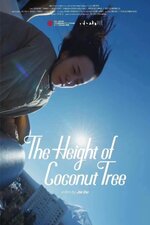 The Height of the Coconut Trees
