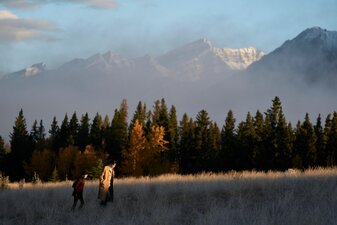 Come si dice "Amore"?