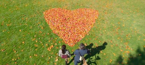 Come si dice "Amore"?