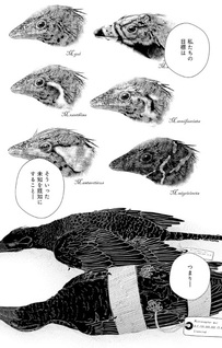 6-oku Nen no Hakubutsu Tabi