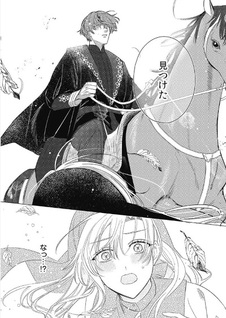 Ai ga Omoi Kishi Kōshaku wa, Tsuihō Reijō no Subete wo Ubai Tsukushitai.