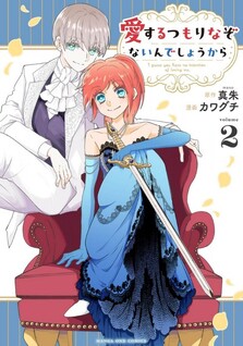 Aisuru Tsumori nazo Naindeshou kara