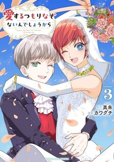 Aisuru Tsumori nazo Naindeshou kara