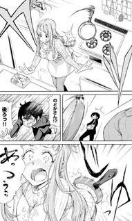 Aniyome-san no Sewa wo Yaku