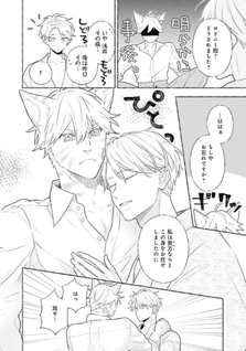 Boku no Tsugai wa Neko Shinshi Gaiden