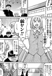 Bushizawa Receive