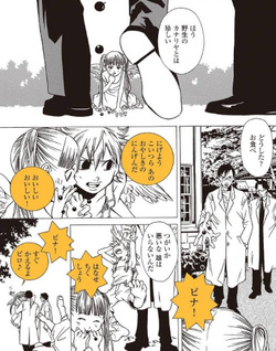 Chijō 10 Meter no Ori kara