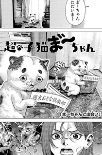 Chō Koneko Maachan