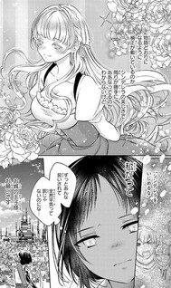 Cinderella no Giri Ane ni Tensei shitakedo Futari no Ouji ni Dekiaisareteimasu