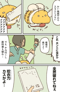 Dekai Hachi