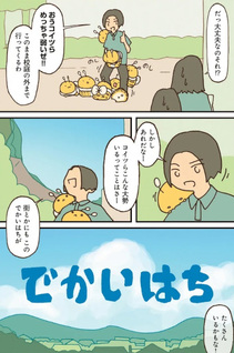 Dekai Hachi