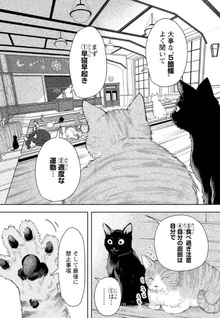 Dengon Neko ga Cafe ni Imasu