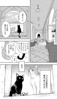 Dengon Neko ga Cafe ni Imasu