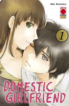 Domestic Girlfriend