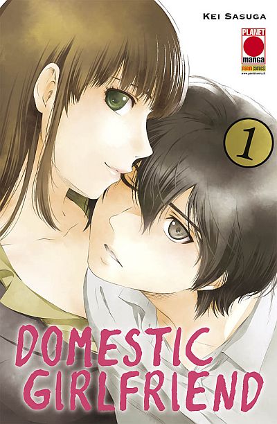 Domestic na Kanojo cover