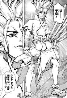 Dr. Stone