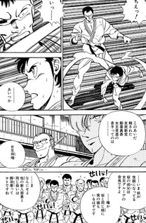 Fighter